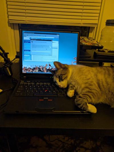 Windows XP neofetch running on the T41.