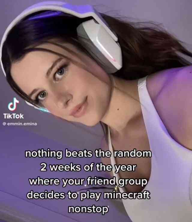 A meme with a girl and the text reading: nothing beats the random 2 weeks of the year where your friend group decides to play minecraft nonstop