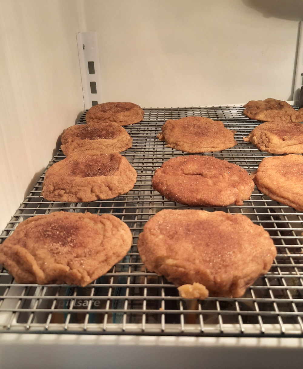 Some snickerdoodles in my freezer, kinda wrinkled and all.